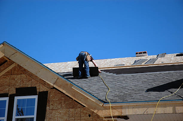 Best Roof Insulation Installation  in Lake Shore, MN